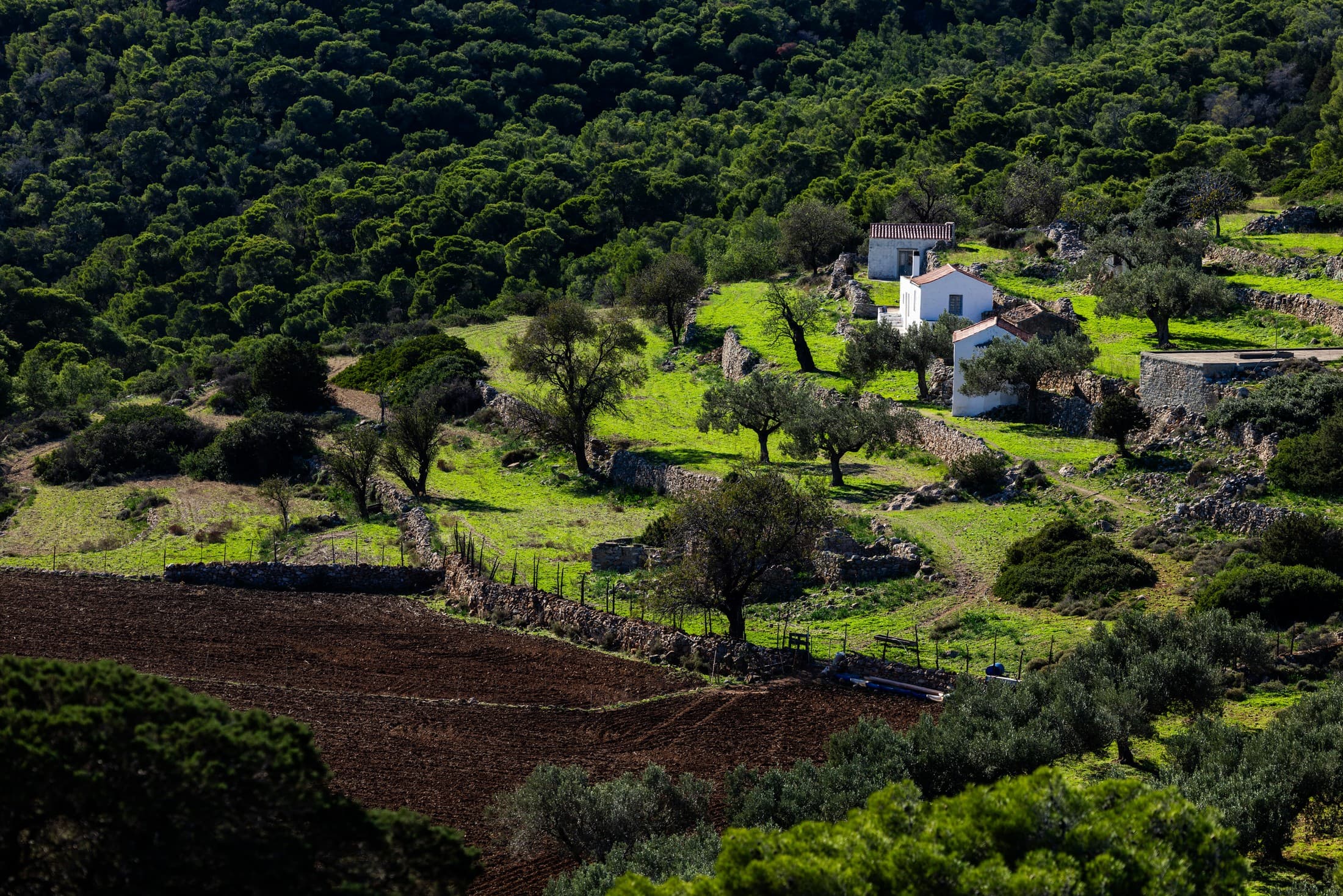Beyond the Blue: Eco-Conscious Travel Through Greece’s Hidden Gems