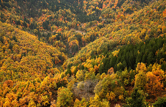 The villages of Grevena