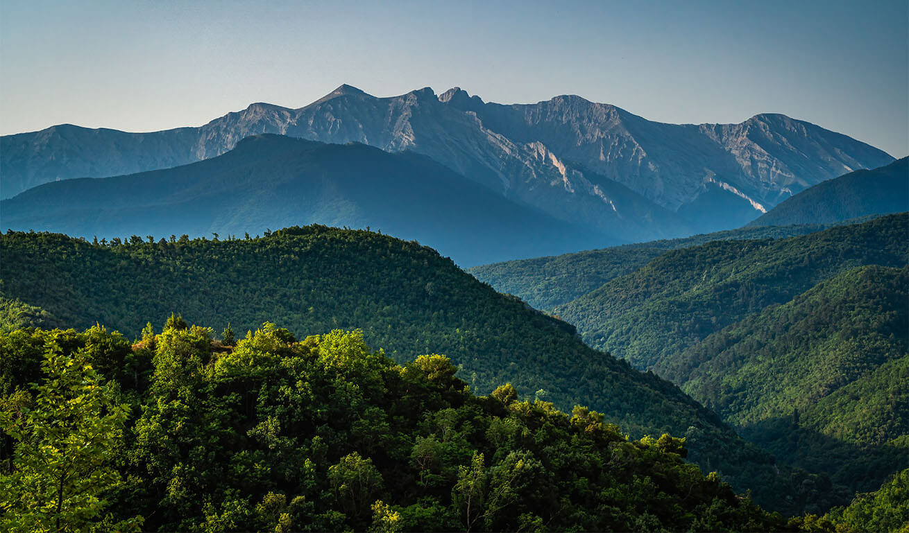 Mountains with forest and in the background a high rocky mountain. Clear sky.
