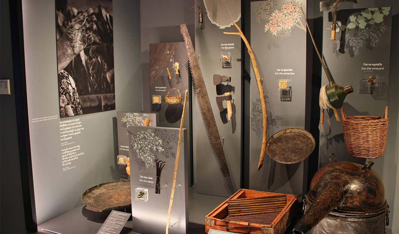 Large glass museum display case with useful objects for agricultural work.