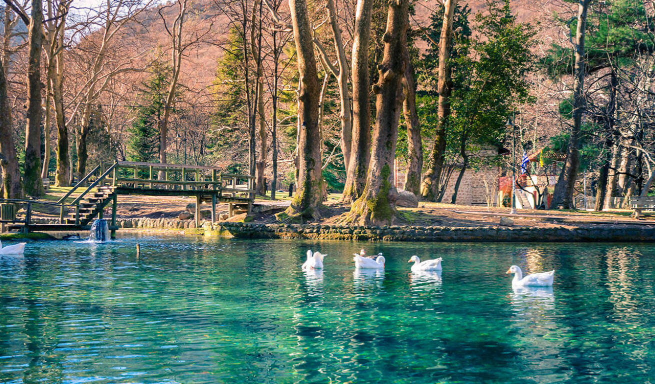 Agios Nikolaos Park's serene lake with ducks, surrounded by tall trees and a wooden staircase. Winter with sunshine.
