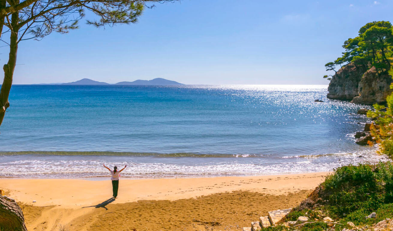 Girl with open arms on a sunny beach with sand and trees on the side is looking at the calm sea. 