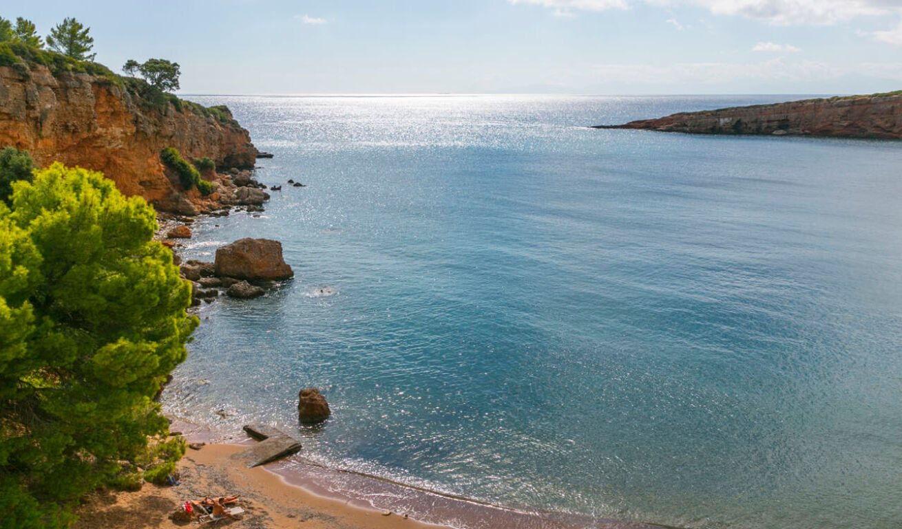 View of the sandy beach from above, with pine trees, rocks and people hanging around