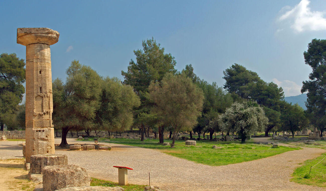 View of the archaeological site of ancient Olympia and in the background many pine trees