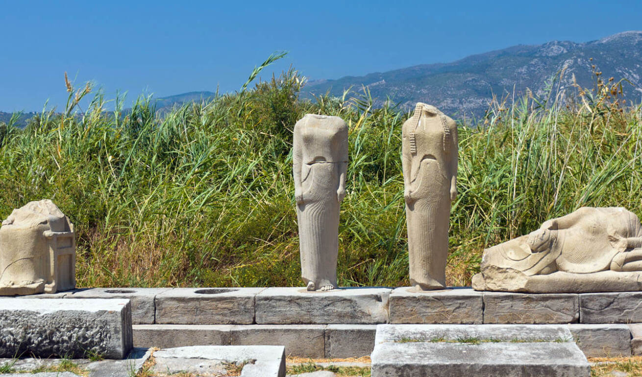 Marble monument surrounded by clusters of reeds