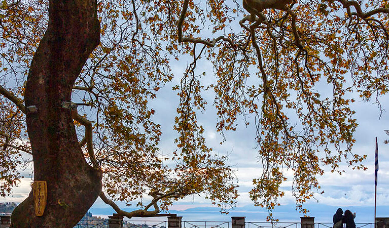 View of the main square of the village, with two people overlooking at the magnificent view and tables under the plane tree