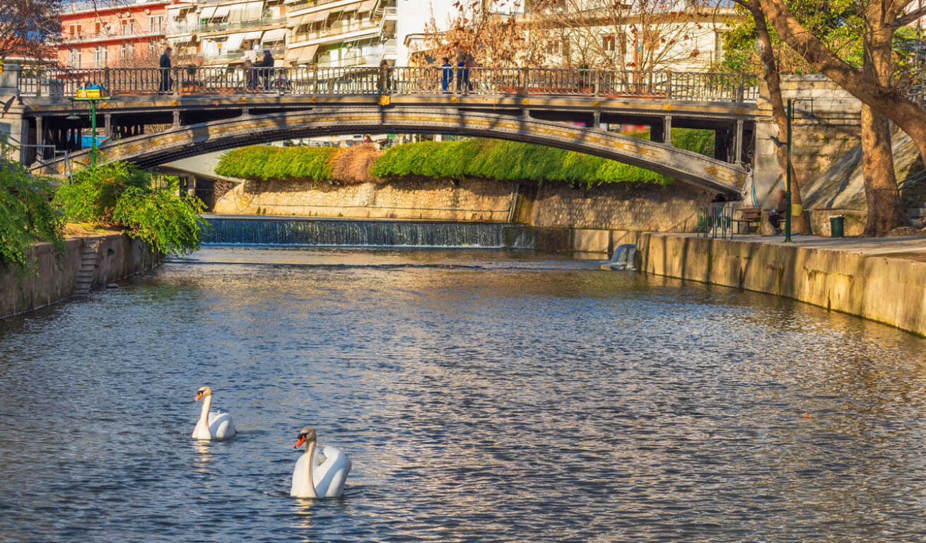 The river of the town is shown with two swans swimming in the water and in the background there is a small bridge