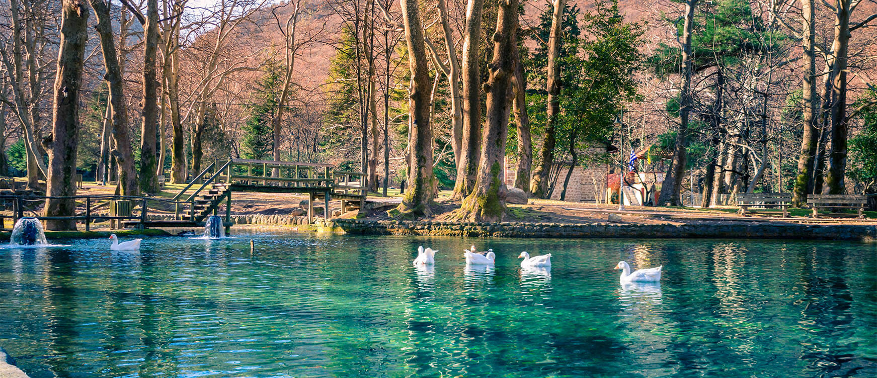 Agios Nikolaos Park's serene lake with ducks, surrounded by tall trees and a wooden staircase. Winter with sunshine.
