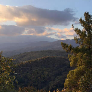 Landscape with mountains and forests behind a few trees in autumn colors. A few clouds in the sky. 