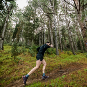 Male athlete running through a path in a forest with pine, fir, oak and arbutus trees