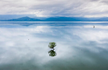 Lake with calm waters and a small plant in the middle. In the background, mountains reflecting in the waters. Cloudy.