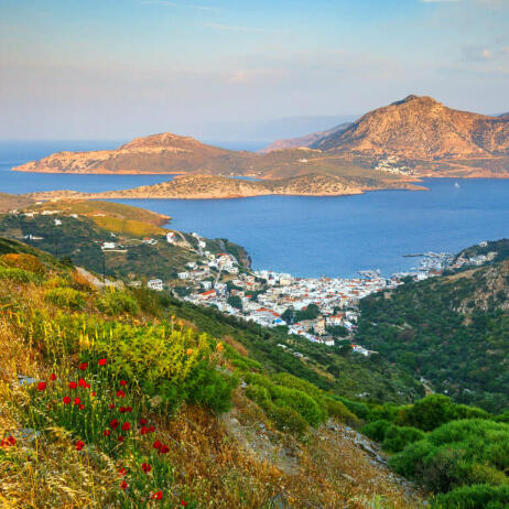 Θέα του νησιού Θύμαινα από ψηλά με παραδοσιακά σπίτια