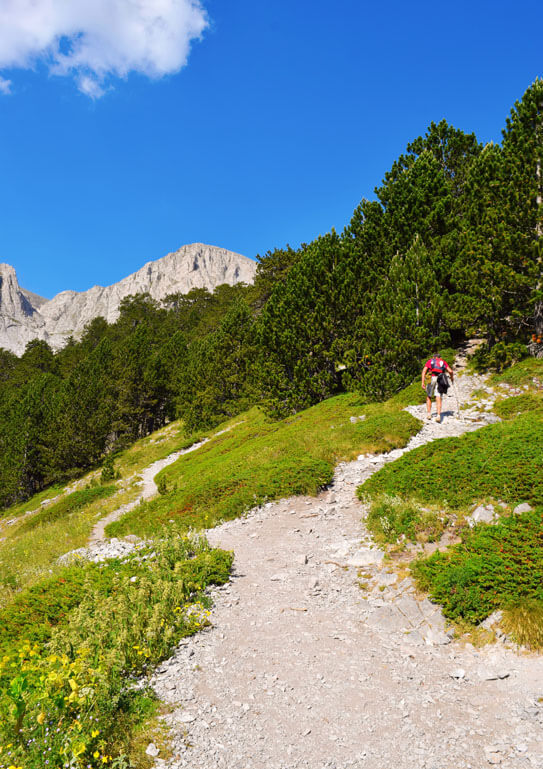 Path on a mountain slope leading to a fir forest. A man walks forward. In the background a rocky peak.