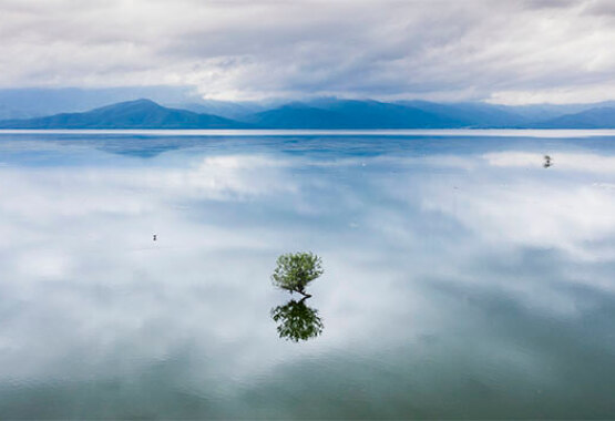Lake with calm waters and a small plant in the middle. In the background, mountains reflecting in the waters. Cloudy.