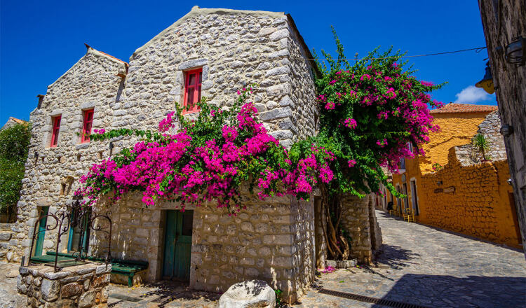 Two-story stone-built house with sloping roof, small windows and door and large pink bougainvillea next to paved uphill road. Opposite, farther, yellow stone-built house.