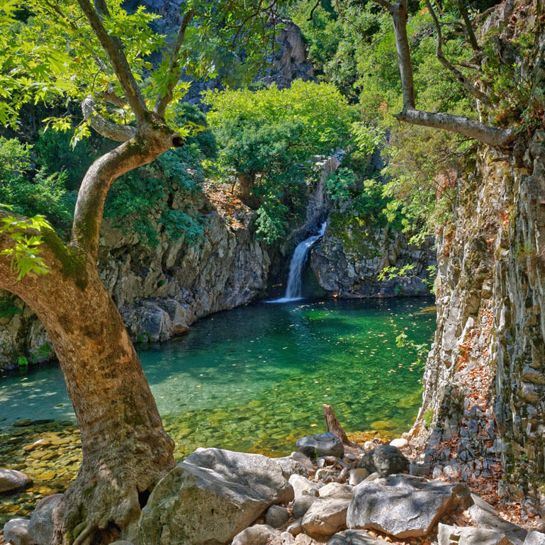 Trees with a view of the small river