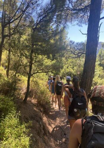 line of people hiking in the forest