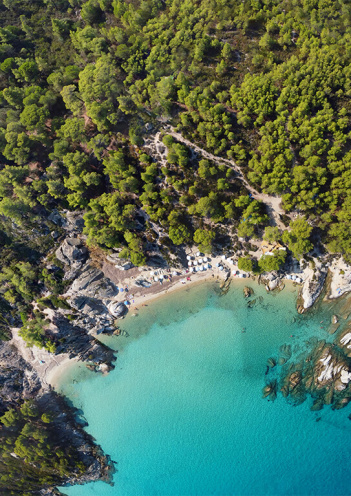 Aerial view of a picturesque cove with turquoise waters and rocky shores, surrounded by dense green trees. 