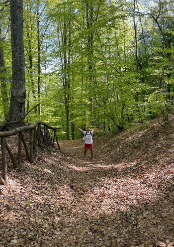 a man walking in the forest with tis hands in the air looking at the camera at a distance